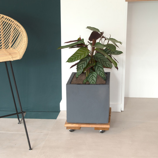 Roule-plantes LOUIS MOULIN Bois carré 30x30cm - 3 coloris