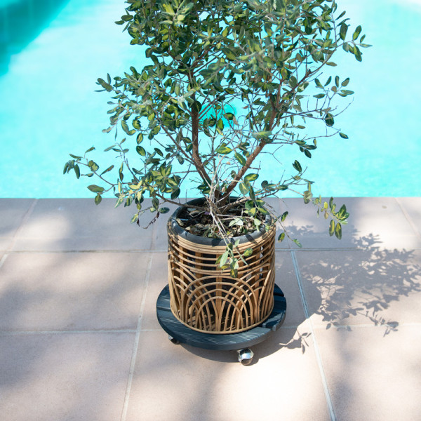 Roule-plantes LOUIS MOULIN Bois rond 37.5cm - 2 coloris