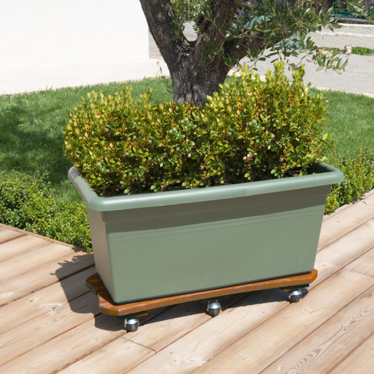 Roule-plantes LOUIS MOULIN Bois spécial bac 30x70cm - 2 coloris