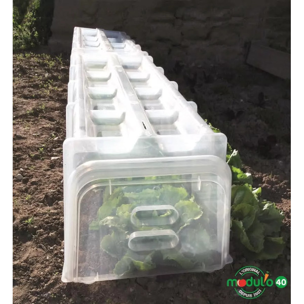 Kit mini serre MODULO 40 MV Industrie