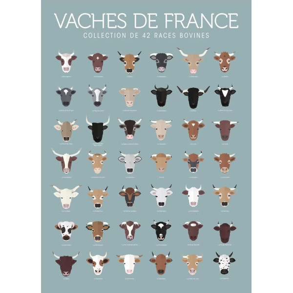 Affiche vache de France La Majorette à Moustache