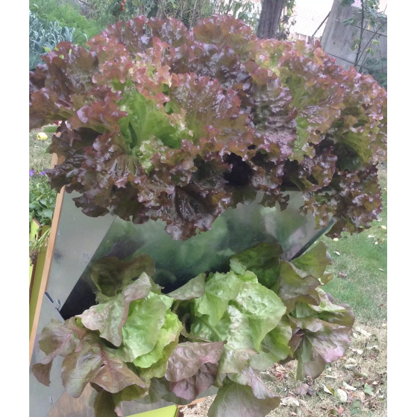 Jardi-balcon deux bacs - Home Jardin Solutions