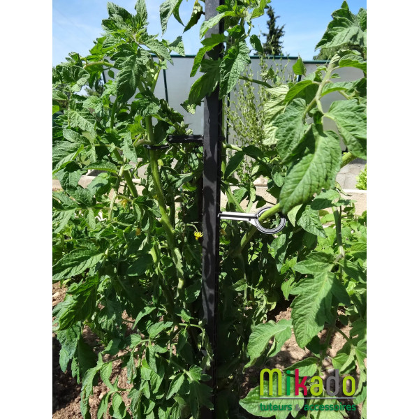 Kit tuteurs pour plantes grimpantes - MV Industrie