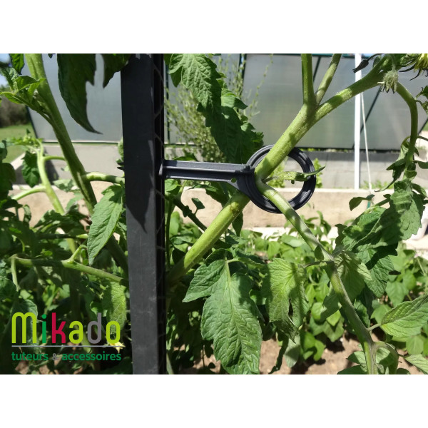 Kit tuteurs pour plantes grimpantes - MV Industrie