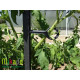 Kit tuteurs pour plantes grimpantes - MV Industrie