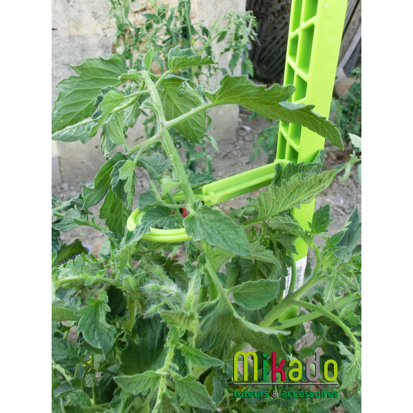 Kit tuteurs pour plantes grimpantes - MV Industrie