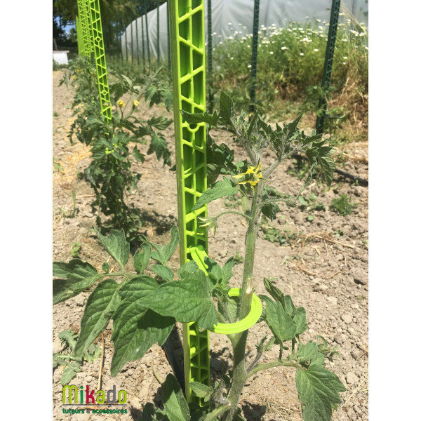 Kit tuteurs pour plantes grimpantes - MV Industrie