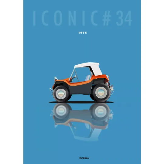 Affiche de la Meyers Manx - Cirebox