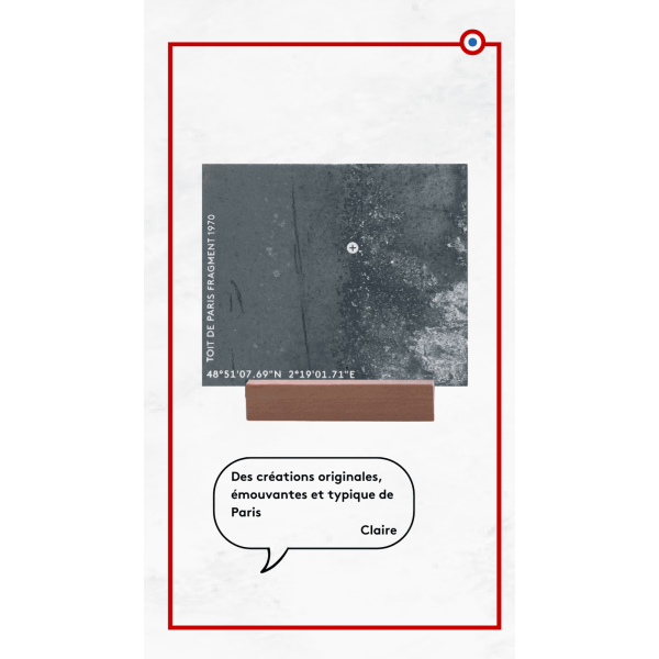 Morceau de TOIT DE PARIS Fragment authentique