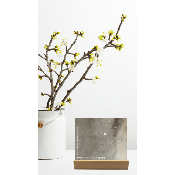 Morceau de TOIT DE PARIS Fragment authentique