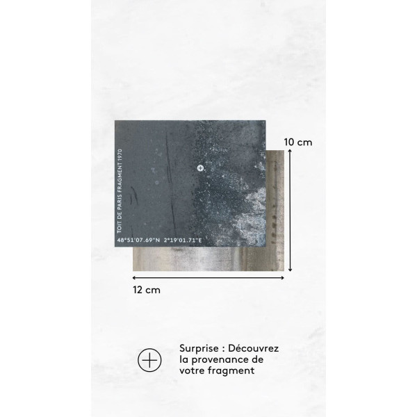 Morceau de TOIT DE PARIS Fragment authentique