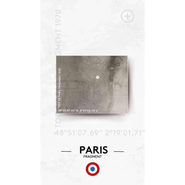 Morceau de TOIT DE PARIS Fragment authentique