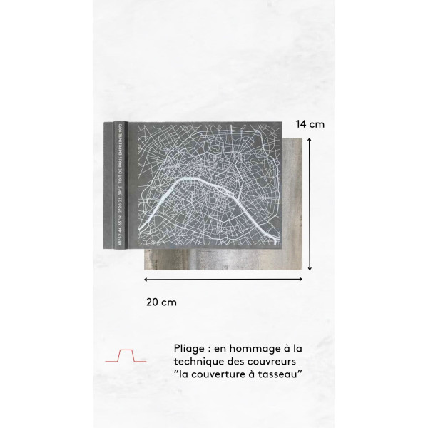 Morceau de TOIT DE PARIS Empreinte Plan de Paris