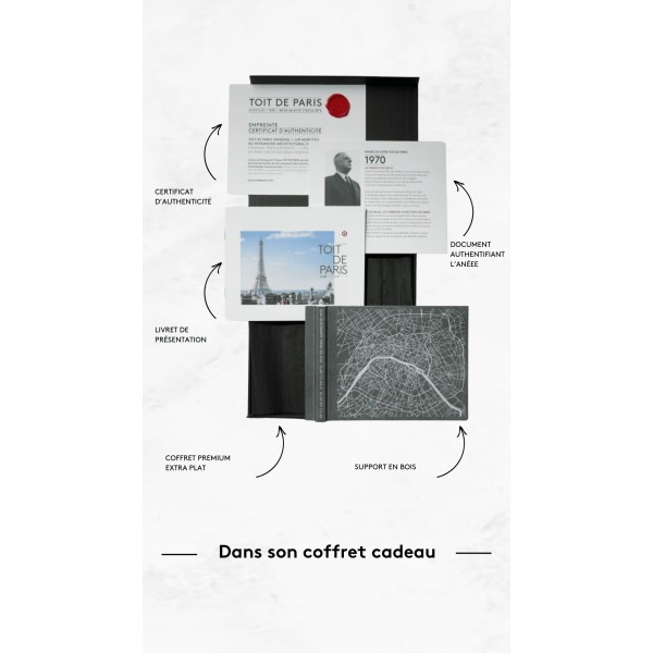 Morceau de TOIT DE PARIS Empreinte Plan de Paris
