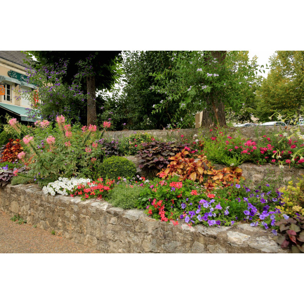 Terreau biologique - Racine