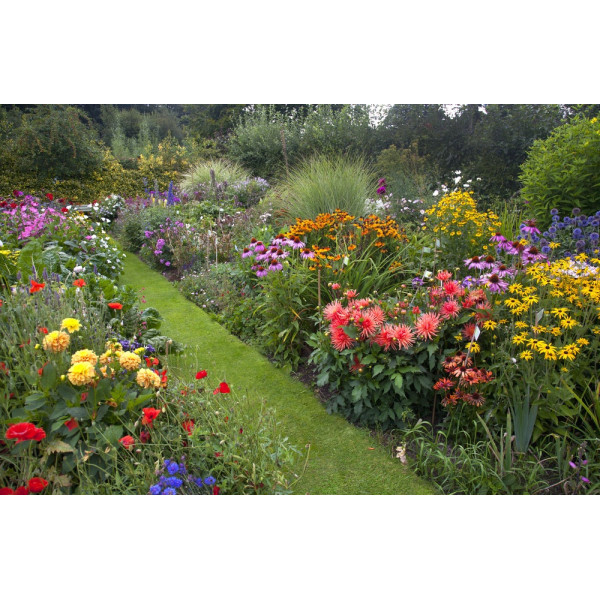 Terreau avec compost pour fleurs - Racine