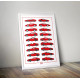 Affiche FORMULE-A Historique Ferrari format 50x70cm