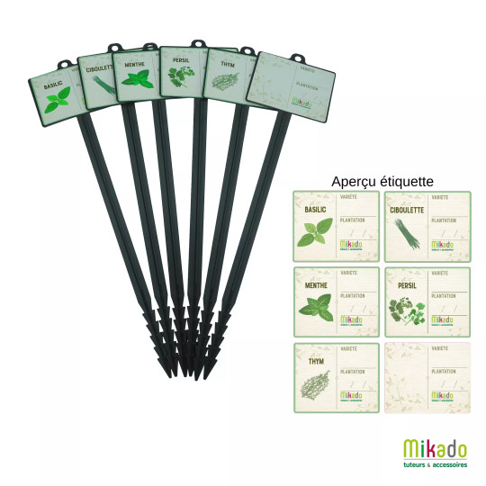 6 jalons à semis MV INDUSTRIE pour aromates