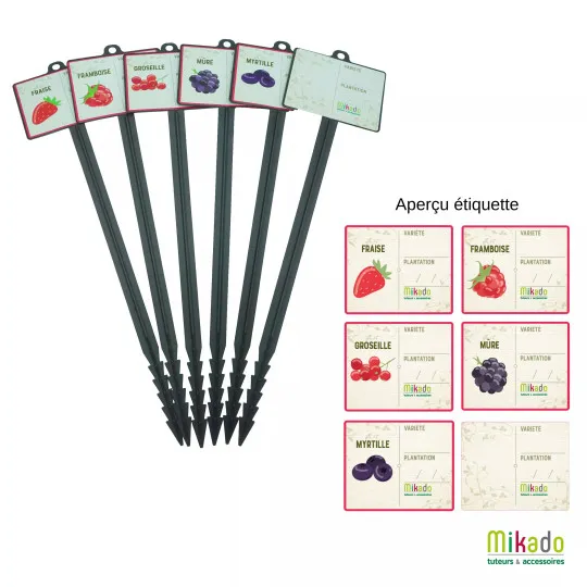 6 jalons à semis MV INDUSTRIE pour fruits rouges