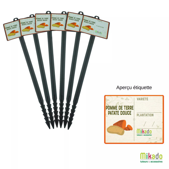 6 jalons MV INDUSTRIE pour pommes de terre