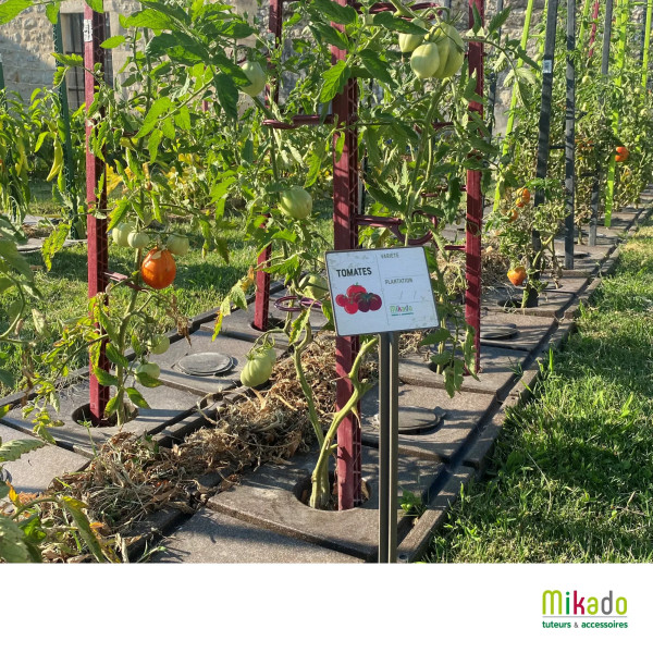 6 jalons MV INDUSTRIE pour tomates