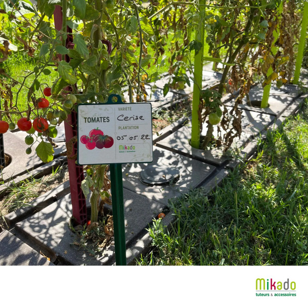 6 jalons MV INDUSTRIE pour tomates