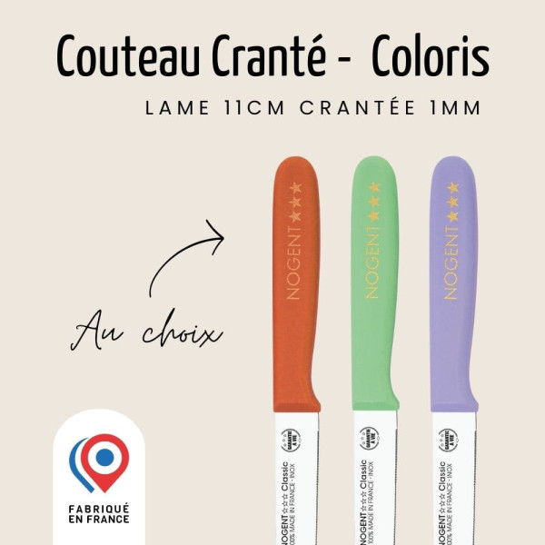 Couteau d'office à tomates NOGENT 3 ETOILES lame 9cm crantée 1mm Polypro - 3 coloris