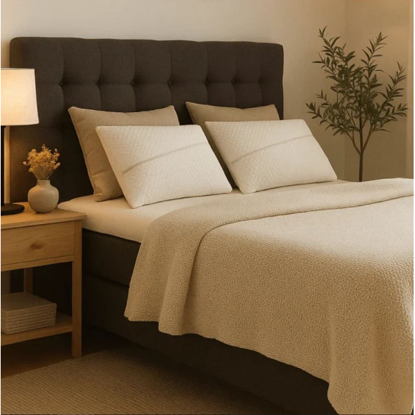 Oreiller BDREAMS à mémoire de forme 60x40cm