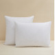 Oreiller naturel ESSIX Ferme plumettes et duvet de canard - 2 tailles