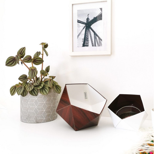 Set de 2 boites LEEWALIA Origami bois - 4 coloris