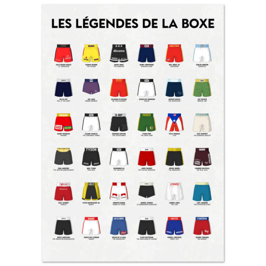 Affiche WALL OF FAME Les Légendes de la Boxe format A3