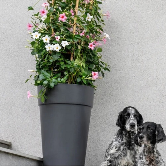 Colonne CHAPELU Cocoripot pot rond Jade 40cm - 4 coloris