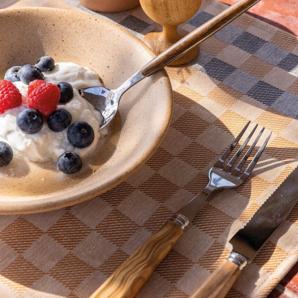 4 sets de table enduits LE JACQUARD FRANCAIS Champêtre Damier 50x36cm