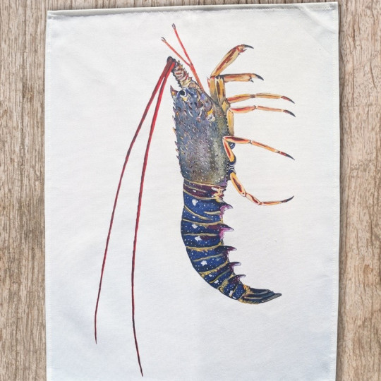 Torchon La Langouste VAREK 100% coton