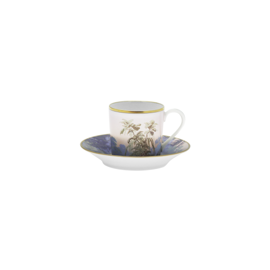 Tasse et soucoupe café HAVILAND Le Brésil - Manufacture Zuber en porcelaine 7.5cl