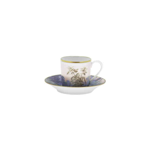 Tasse et soucoupe café HAVILAND Le Brésil - Manufacture Zuber en porcelaine 7.5cl