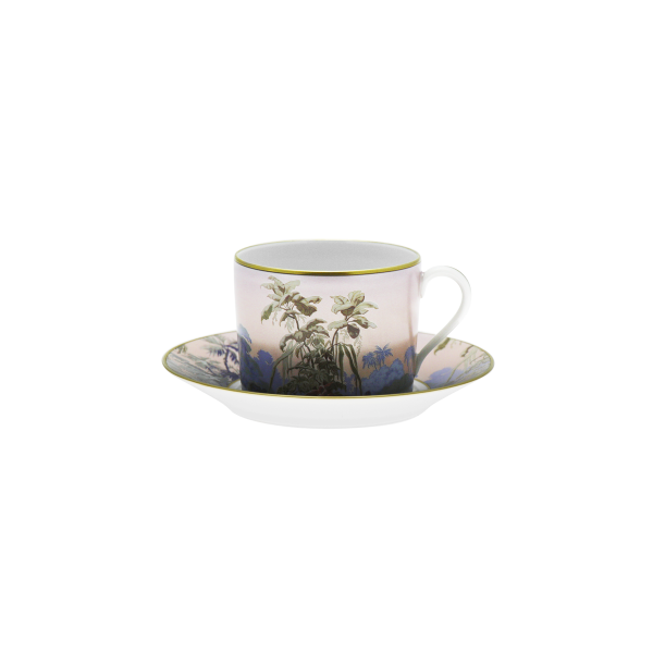 Tasse et soucoupe thé HAVILAND Le Brésil - Manufacture Zuber en porcelaine 14cl