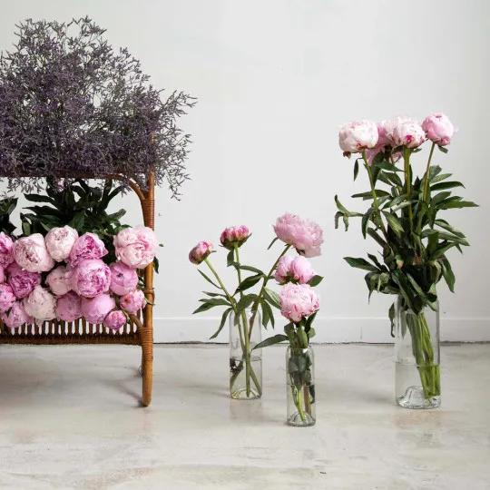 Vase en verre QDB EDITIONS Small - 4 coloris