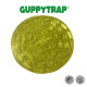 Piège à larves de moustiques GUPPYTRAP avec soucoupe - 4 coloris