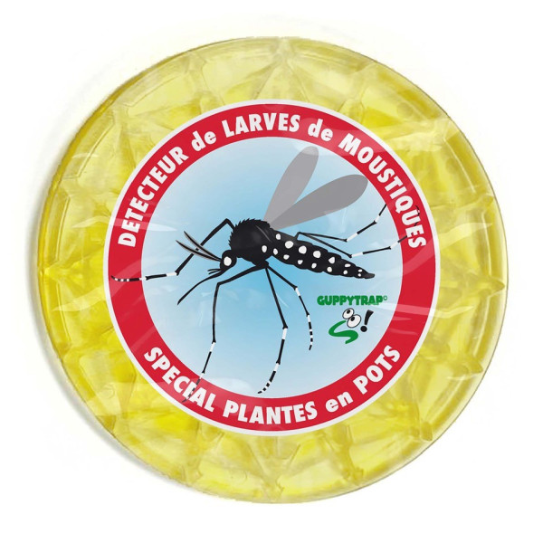Piège à larves de moustiques GUPPYTRAP avec soucoupe - 4 coloris