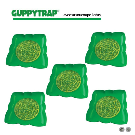 Lot de 5 pièges à larves de moustiques GUPPYTRAP avec soucoupes - 4 coloris