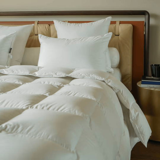 Oreiller DROUAULT Millénium mi-ferme duvet et plumettes d'oie - 2 tailles