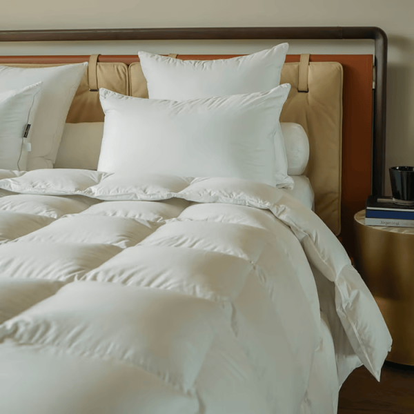 Oreiller DROUAULT Millénium mi-ferme duvet et plumettes d'oie - 2 tailles