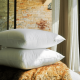 Oreiller DROUAULT Millénium mi-ferme duvet et plumettes d'oie - 2 tailles