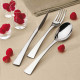 Couteau de table GUY DEGRENNE Solstice en acier inoxydable