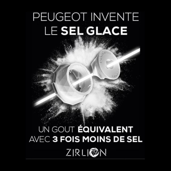 Moulin à sel PEUGEOT SAVEURS Bistro 10cm gris galet