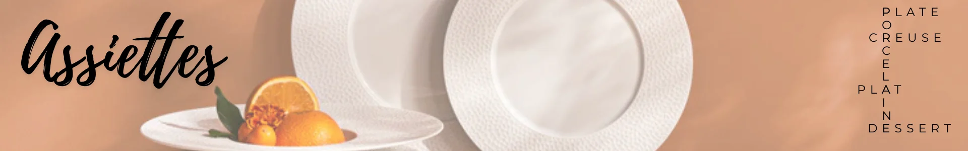 Assiette en porcelaine de Limoges Made in France | Coin-fr