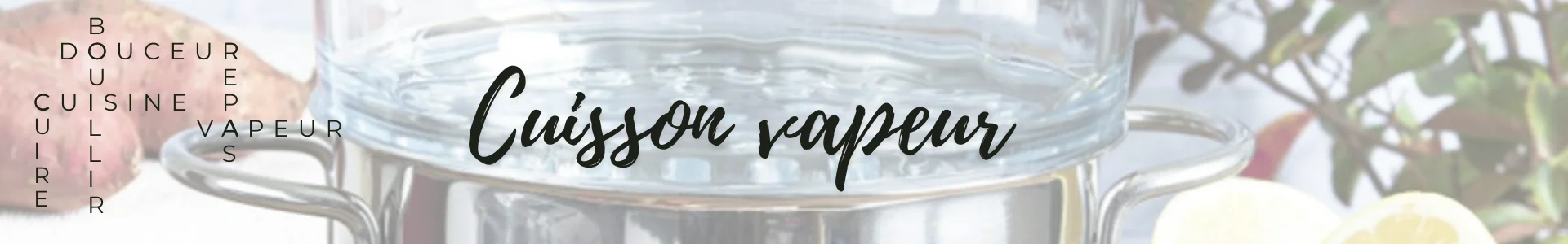 Cuisson vapeur haut de gamme Made in France | Coin-fr