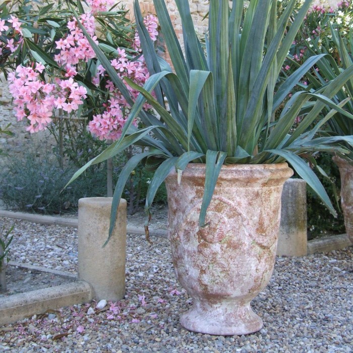 vases en terre cuite terre figuière