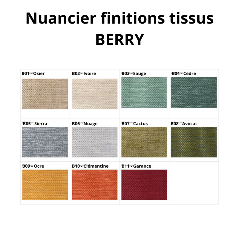 carrier nuancier finitions tissus berry